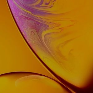 Meet your Posher, Darien